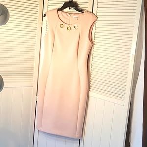 Calvin Klein Blush Pink Gormet Neck Sheath Dress SZ8
